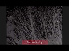 Infrarrojo negro de los monoculares 400-1700nm de la visión nocturna de 3X50 HD Digital